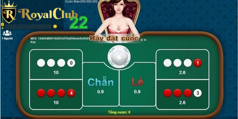 Tổng quan đôi nét về trò chơi xóc đĩa